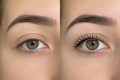 Lash Lift & Tint